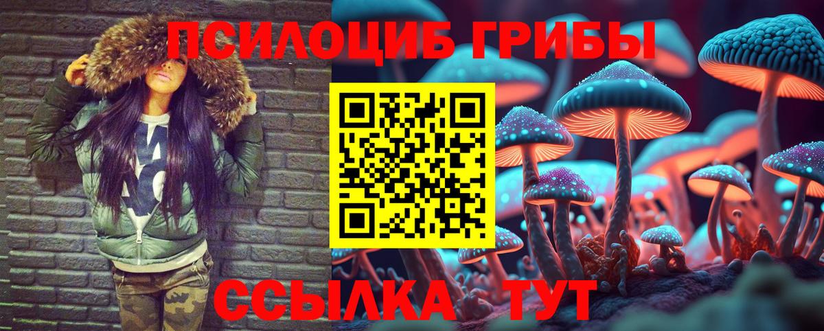 Баксан  Галлюциногенные грибы MAGIC MUSHROOMS  Вход с VPN 