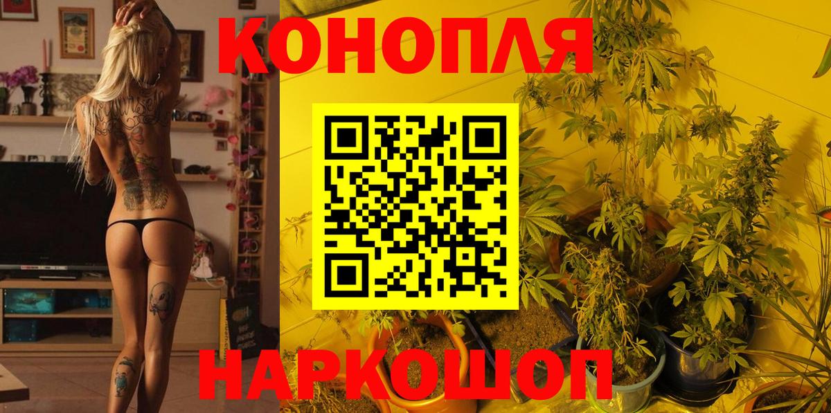 Каннабис MAZAR  Каннабис гибрид  Вход с VPN  Бошки Шишки SATIVA & INDICA  Баксан 